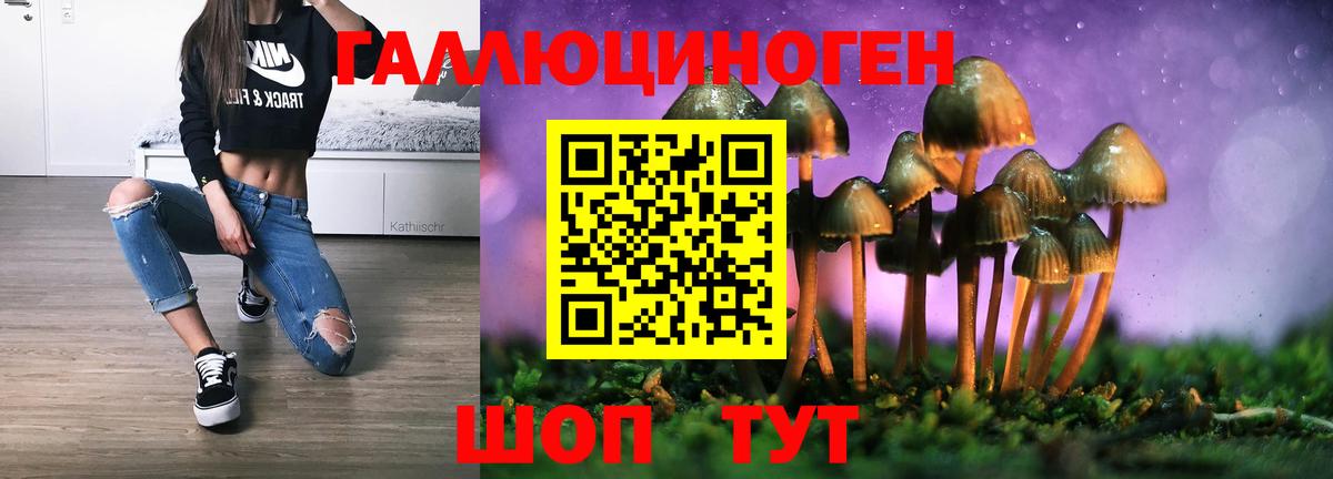 купить закладку  Вход с VPN  Дербент  Галлюциногенные грибы Psilocybine cubensis 